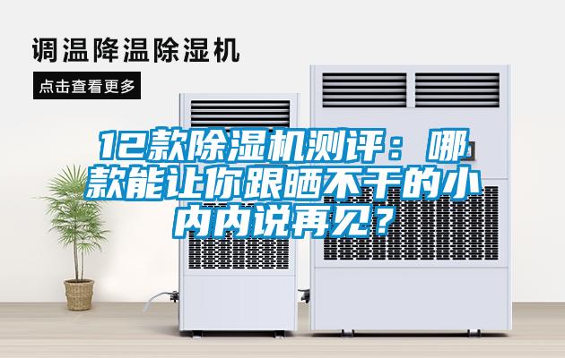 12款除濕機測評：哪款能讓你跟曬不干的小內(nèi)內(nèi)說再見？