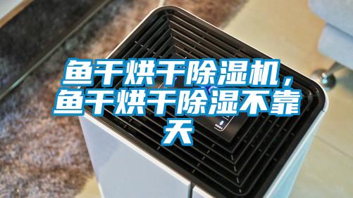 魚干烘干除濕機(jī)，魚干烘干除濕不靠天