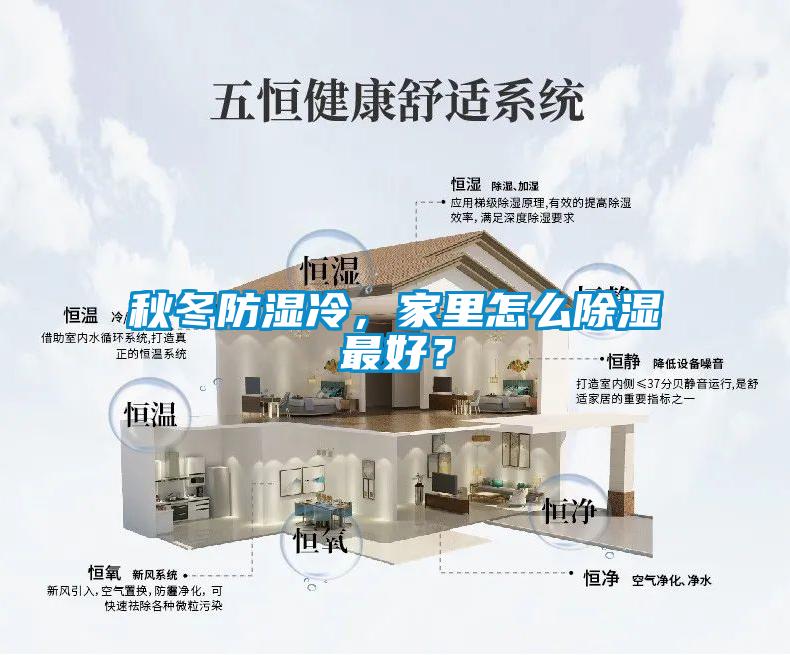 秋冬防濕冷，家里怎么除濕最好？