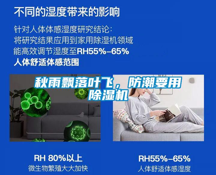 秋雨飄落葉飛，防潮要用除濕機