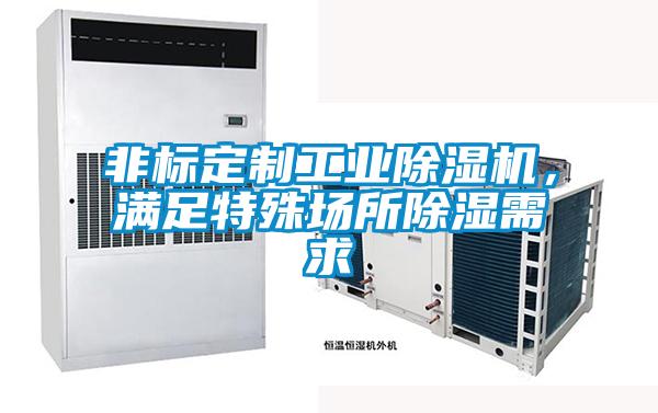 非標(biāo)定制工業(yè)除濕機，滿足特殊場所除濕需求