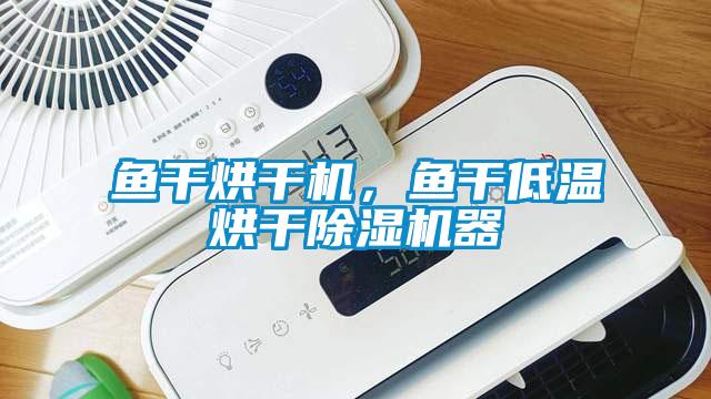 魚(yú)干烘干機(jī)，魚(yú)干低溫烘干除濕機(jī)器