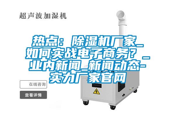 熱點(diǎn)：除濕機(jī)廠家_如何實(shí)戰(zhàn)電子商務(wù)？_業(yè)內(nèi)新聞_新聞動(dòng)態(tài)-實(shí)力廠家官網(wǎng)