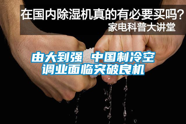 由大到強 中國制冷空調業面臨突破良機