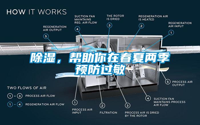 除濕，幫助你在春夏兩季預防過敏