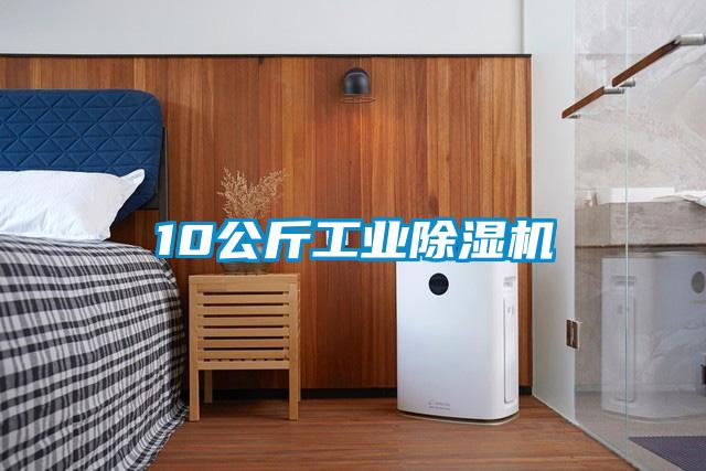 10公斤工業除濕機