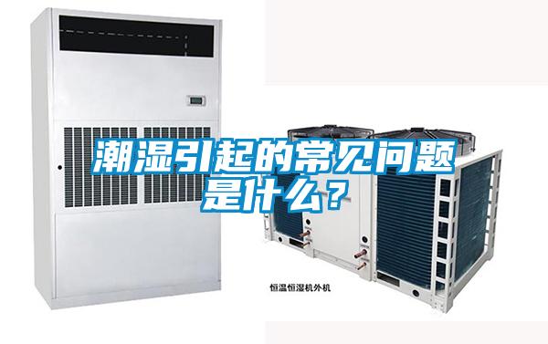 潮濕引起的常見問題是什么？