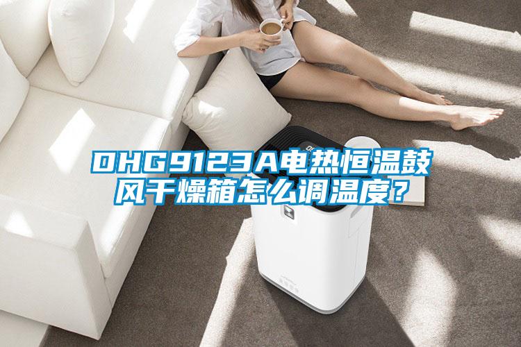DHG9123A電熱恒溫鼓風干燥箱怎么調溫度？