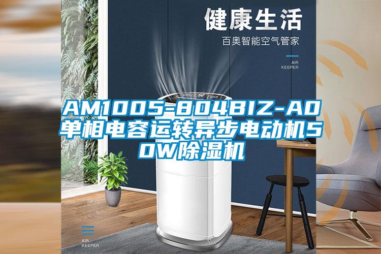 AM1005-804BIZ-A0單相電容運轉(zhuǎn)異步電動機(jī)50W除濕機(jī)