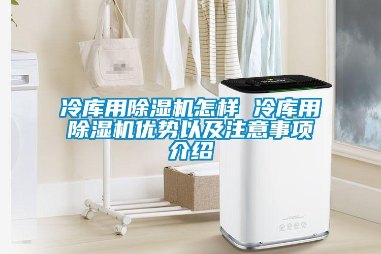 冷庫用除濕機怎樣 冷庫用除濕機優勢以及注意事項介紹