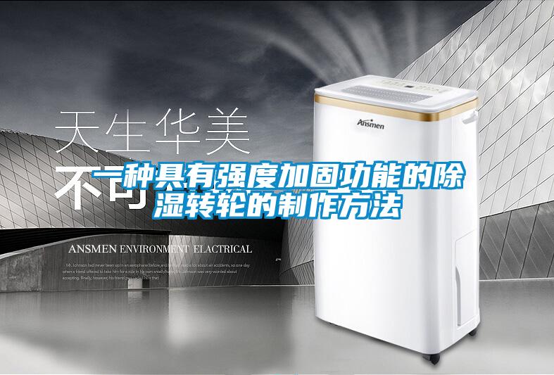 一種具有強度加固功能的除濕轉輪的制作方法