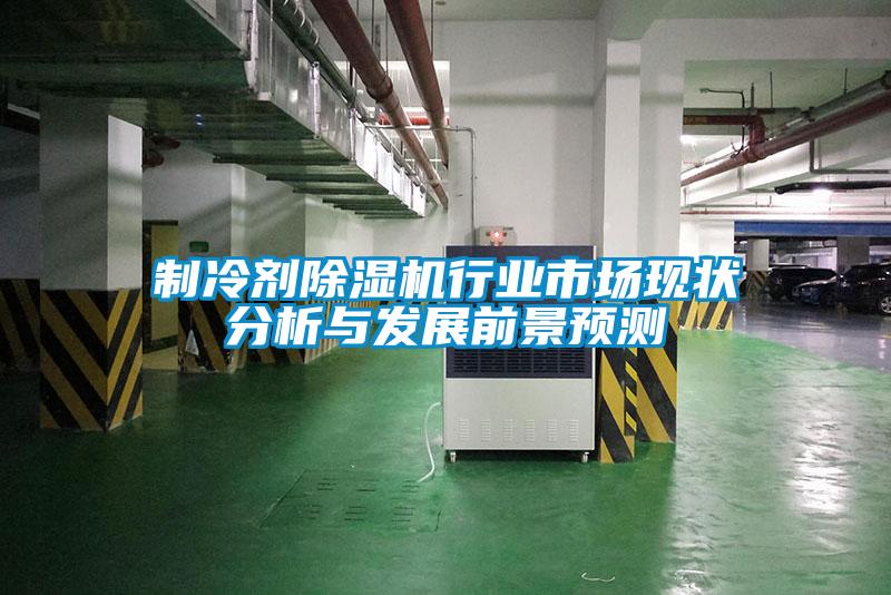 制冷劑除濕機行業市場現狀分析與發展前景預測