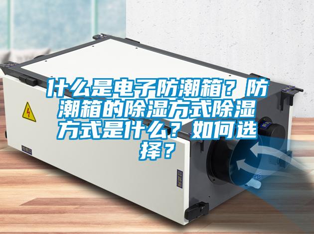 什么是電子防潮箱？防潮箱的除濕方式除濕方式是什么？如何選擇？