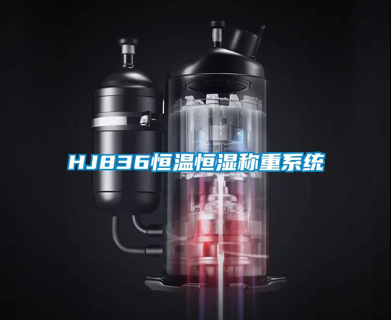 HJ836恒溫恒濕稱重系統