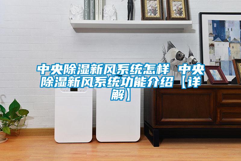 中央除濕新風系統怎樣 中央除濕新風系統功能介紹【詳解】
