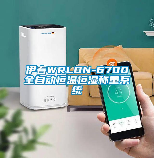 伊春WRLDN-6700全自動恒溫恒濕稱重系統