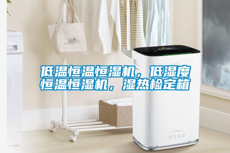 低溫恒溫恒濕機，低濕度恒溫恒濕機，濕熱檢定箱