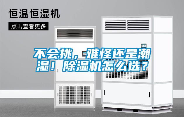 不會挑，難怪還是潮濕！除濕機怎么選？