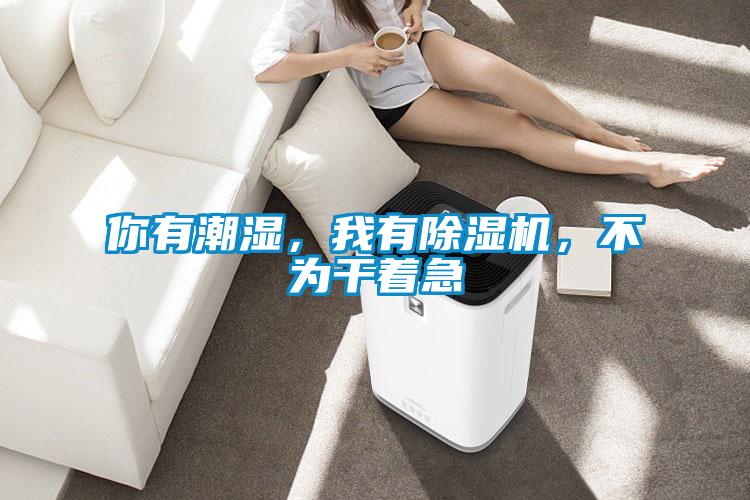 你有潮濕，我有除濕機(jī)，不為干著急
