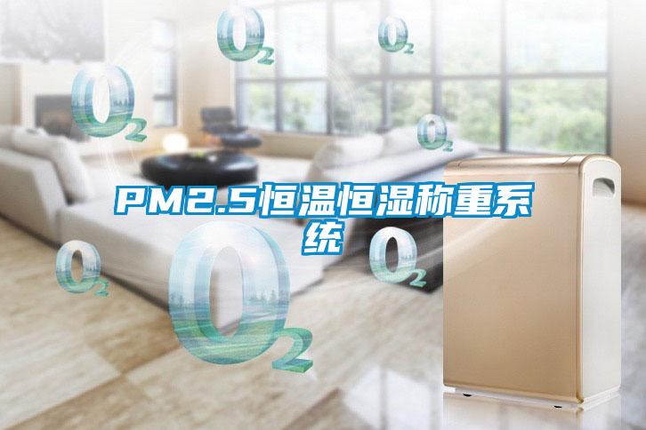 PM2.5恒溫恒濕稱重系統