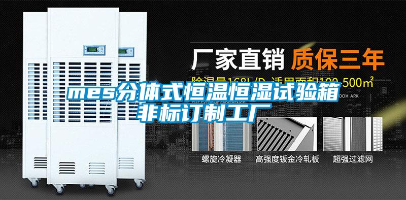 mes分體式恒溫恒濕試驗箱非標訂制工廠