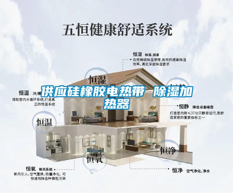 供應硅橡膠電熱帶 除濕加熱器