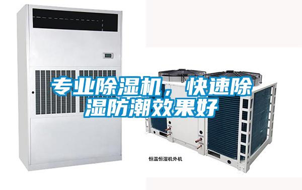 專業除濕機，快速除濕防潮效果好