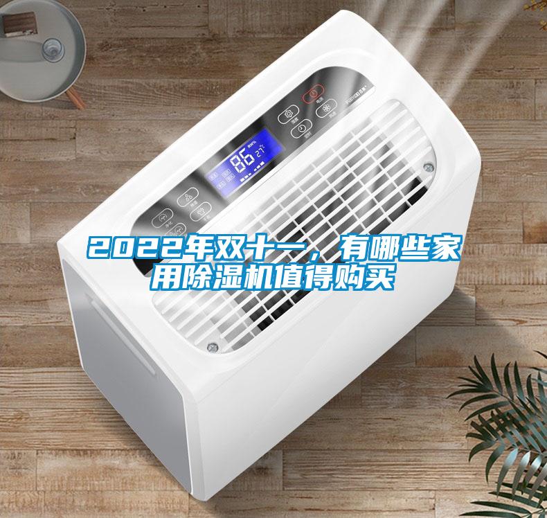 2022年雙十一，有哪些家用除濕機值得購買