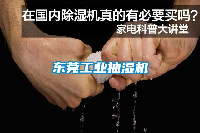 東莞工業抽濕機