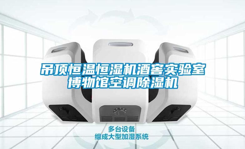 吊頂恒溫恒濕機酒窖實驗室博物館空調除濕機