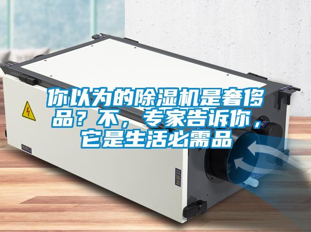你以為的除濕機是奢侈品？不，專家告訴你，它是生活必需品