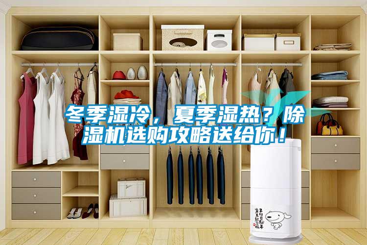 冬季濕冷，夏季濕熱？除濕機選購攻略送給你！