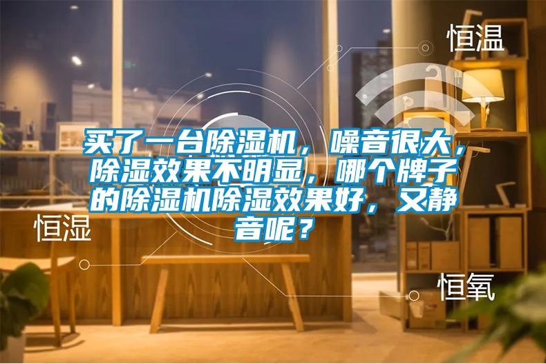 買了一臺除濕機，噪音很大，除濕效果不明顯，哪個牌子的除濕機除濕效果好，又靜音呢？