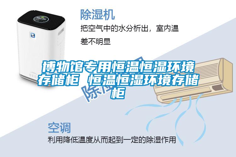 博物館專用恒溫恒濕環境存儲柜 恒溫恒濕環境存儲柜