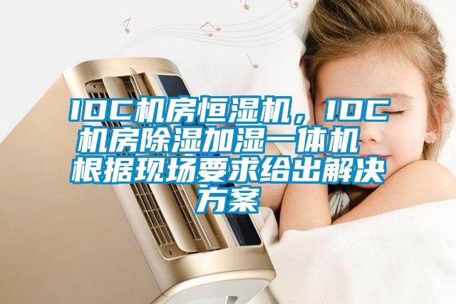 IDC機房恒濕機，IDC機房除濕加濕一體機 根據現場要求給出解決方案