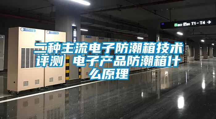二種主流電子防潮箱技術評測 電子產品防潮箱什么原理
