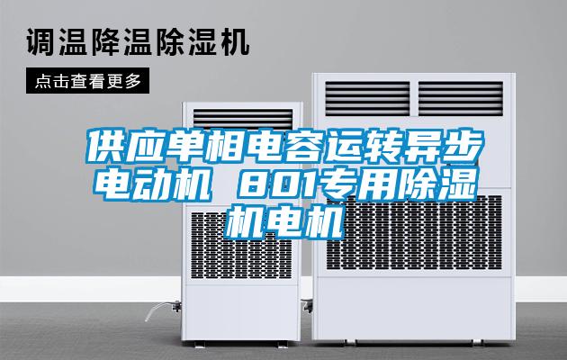 供應單相電容運轉異步電動機 801專用除濕機電機