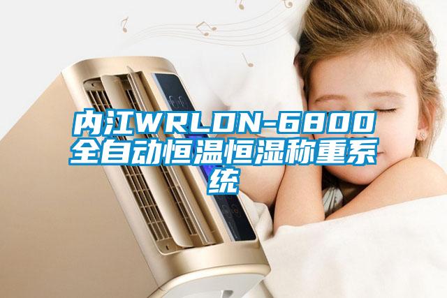 內江WRLDN-6800全自動恒溫恒濕稱重系統