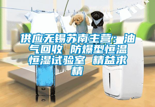 供應無錫蘇南主營：油氣回收 防爆型恒溫恒濕試驗室 精益求精