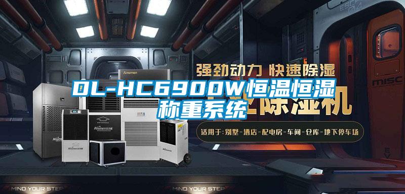 DL-HC6900W恒溫恒濕稱重系統