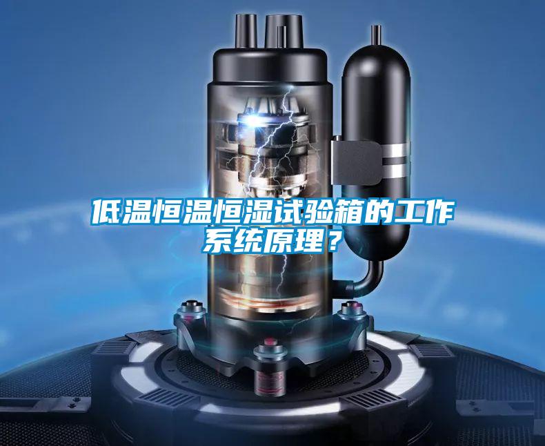 低溫恒溫恒濕試驗箱的工作系統原理？