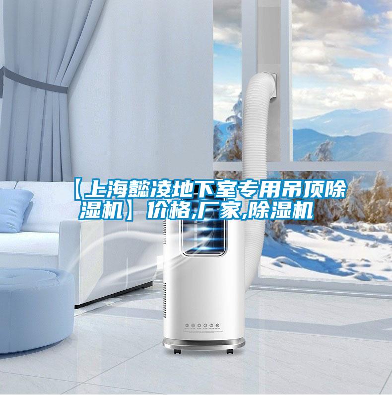 【上海懿凌地下室專用吊頂除濕機】價格,廠家,除濕機