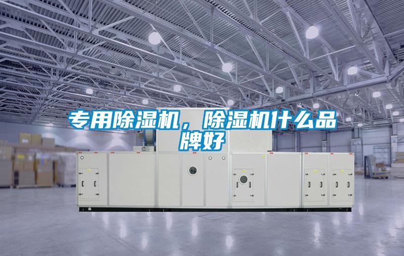 專用除濕機，除濕機什么品牌好