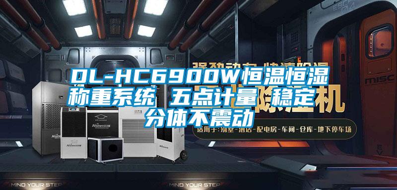 DL-HC6900W恒溫恒濕稱重系統 五點計量 穩定 分體不震動
