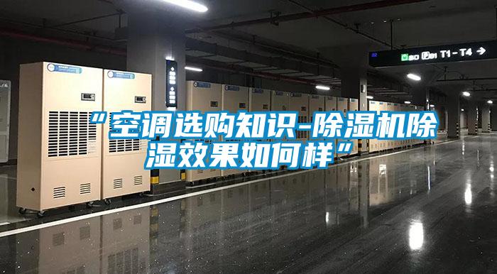 “空調(diào)選購知識-除濕機(jī)除濕效果如何樣”