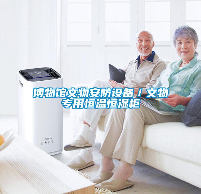博物館文物安防設備／文物專用恒溫恒濕柜