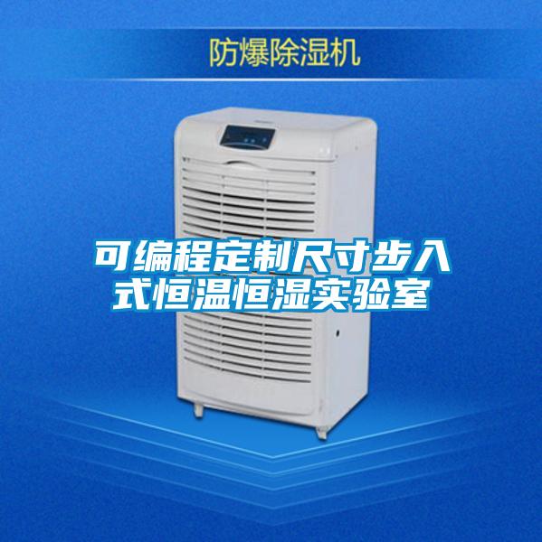 可編程定制尺寸步入式恒溫恒濕實(shí)驗(yàn)室
