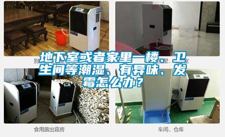 地下室或者家里一樓、衛(wèi)生間等潮濕、有異味、發(fā)霉怎么辦？