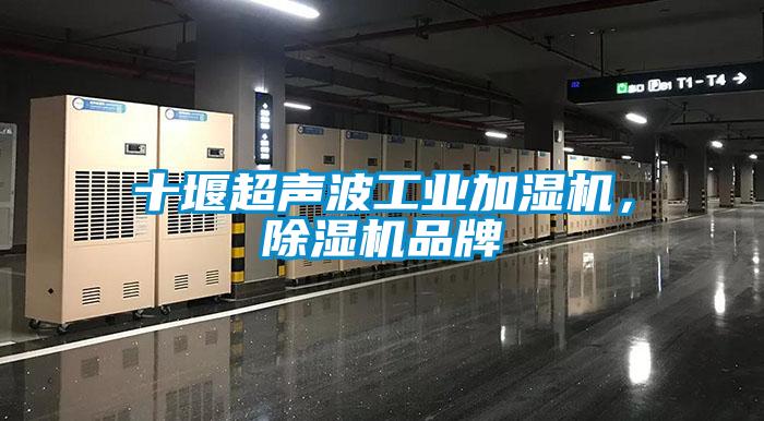 十堰超聲波工業加濕機，除濕機品牌
