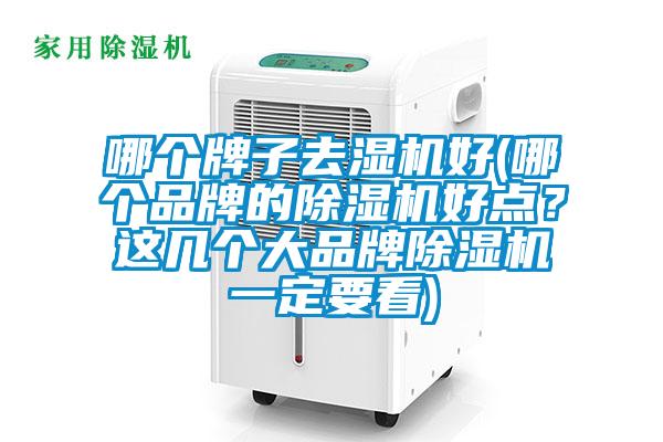 哪個牌子去濕機好(哪個品牌的除濕機好點？這幾個大品牌除濕機一定要看)